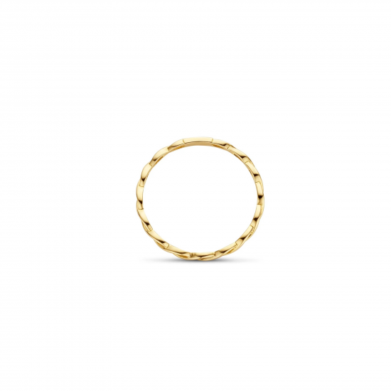 Blush Ring 1220YGO 14k Geelgoud MAAT 16 - 50404