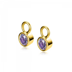 ZINZI JUNI oorbedels met geboortesteen licht paars amethist zirconia goudverguld 12,5 x 4,5 x 7 mm ZICH-JUN (excl. oorringen) - 50630