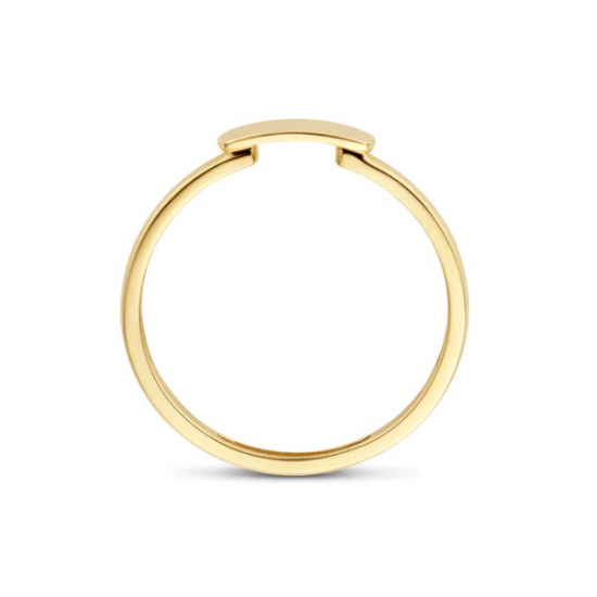 Ring 1236YGO - 14k Geelgoud Maat 16.5 - 51572