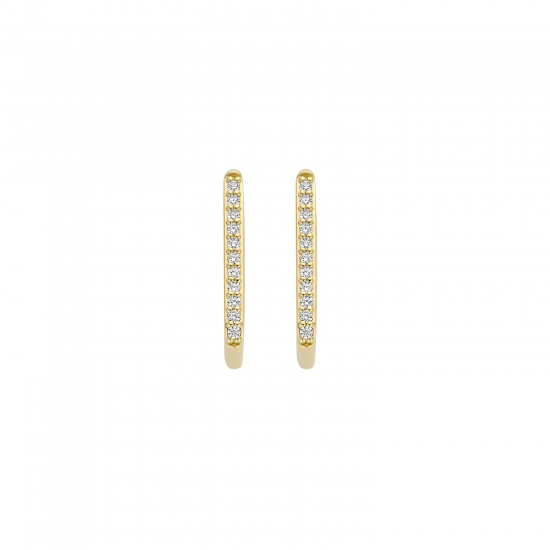 BLUSH Oorringen 7318YZI - 14k Geel goud met zirkonia - 53005