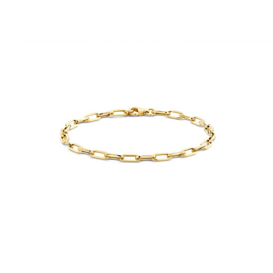 Blush  Armband 2191YGO - 14k Geelgoud - 53006