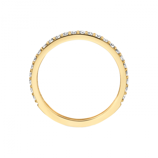 BLUSH 14 KARAAT Geelgouden ring met zirkonia maat 17 - 54162