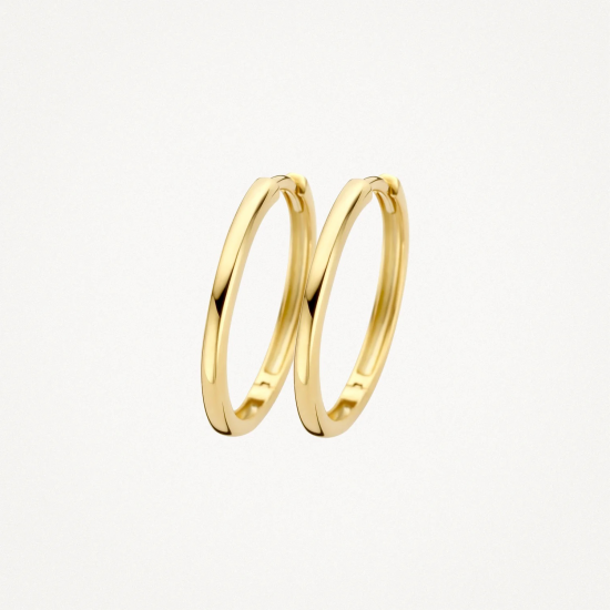 BLUSH Oorringen 7274YGO - 14k Geelgoud - 54270