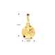 Geelgoud hanger rondje gediamanteerd - 54929
