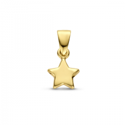 Gouden hanger ster - 54963