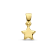 Gouden hanger ster - 54963