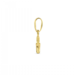 Gouden hanger ster - 54963
