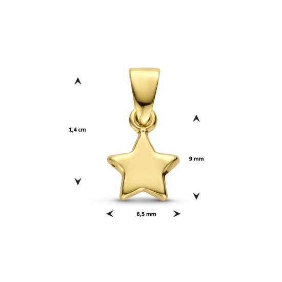 Gouden hanger ster - 54963