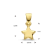 Gouden hanger ster - 54963