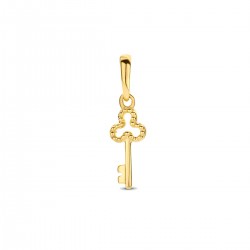 Gouden hanger sleutel - 54967