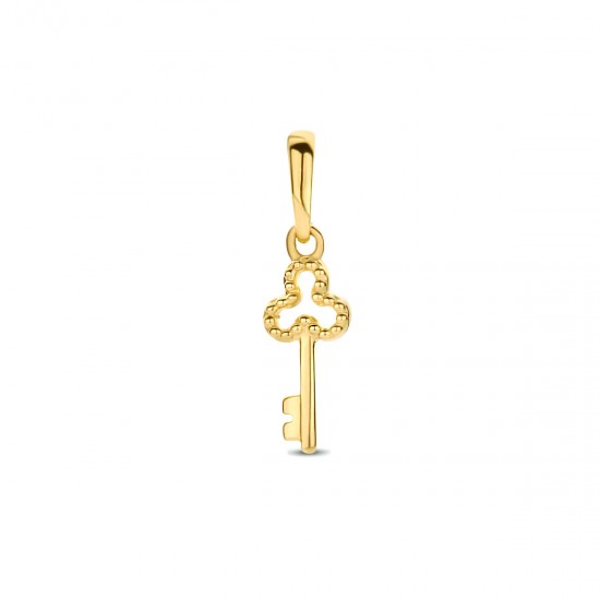 Gouden hanger sleutel - 54967