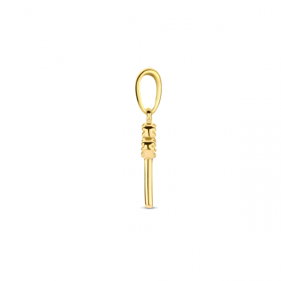 Gouden hanger sleutel - 54967