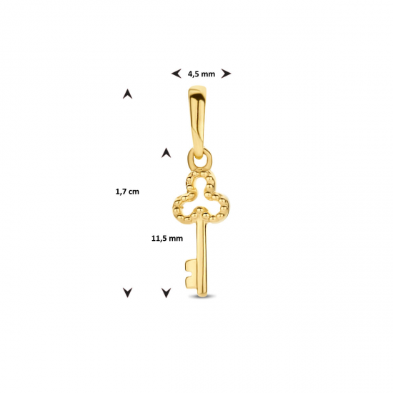 Gouden hanger sleutel - 54967