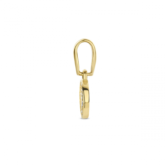 Gouden hanger rondje zirkonia - 54973