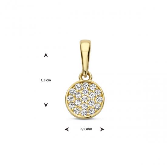 Gouden hanger zirkonia - 54974
