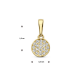 Gouden hanger zirkonia - 54974