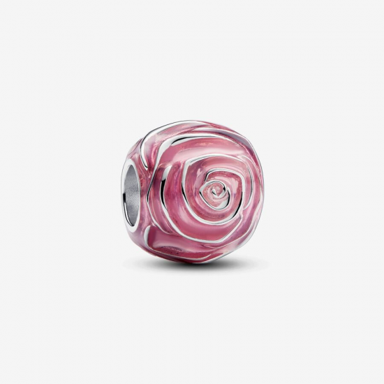 Pandora Roze roos in bloei bedel - 55162