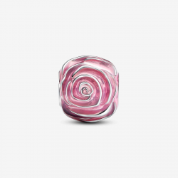 Pandora Roze roos in bloei bedel - 55162
