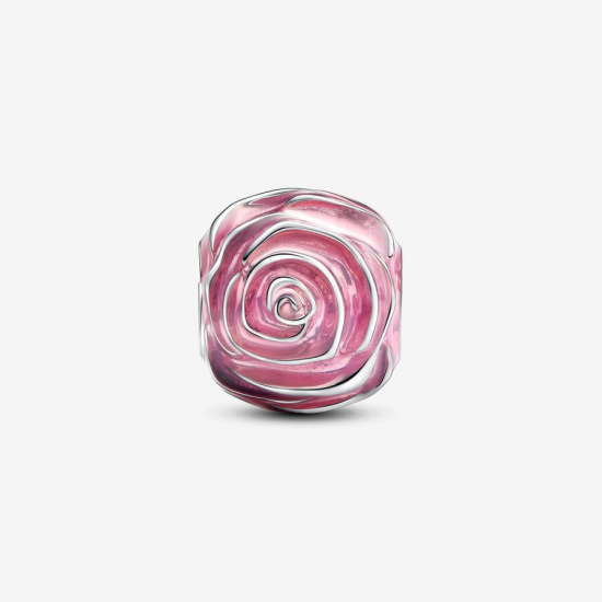 Pandora Roze roos in bloei bedel - 55162