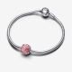 Pandora Roze roos in bloei bedel - 55162