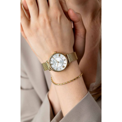 ZINZI Twenty horloge met zilverkleurige wijzerplaat, geelgoudkleurige kast 34mm en stalen meshband ZIW2033 - 55201