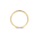 Blush Lab Grown Diamonds Ring - LG1012Y-54 maat 17 - 55331