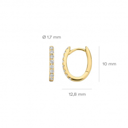 Blush Lab Grown Diamonds oorbellen 14krt Geelgoud - LG7006Y - 55336
