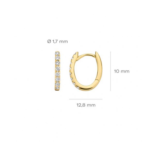 Blush Lab Grown Diamonds oorbellen 14krt Geelgoud - LG7006Y - 55336