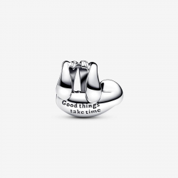 Pandora Hangende Luiaard bedel 793331C01 - 55429