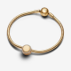 Pandora Graveerbare Sprankelende Knoopbedel 768747C01 - 55550