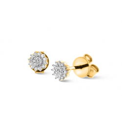 Pas Diamonds Rozet Oorknoppen 19 Steens 0.06 Crt - 55598
