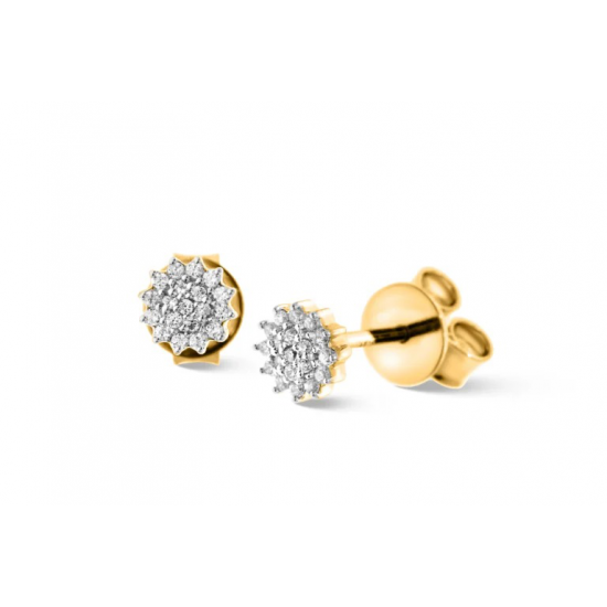 Pas Diamonds Rozet Oorknoppen 19 Steens 0.06 Crt - 55598