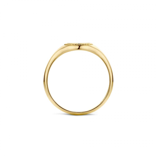 Blush Ring Zegelring Geelgoud 1205YGO MAAT 16,5 - 55773