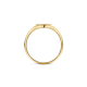 Blush Ring Zegelring Geelgoud 1205YGO MAAT 16,5 - 55773