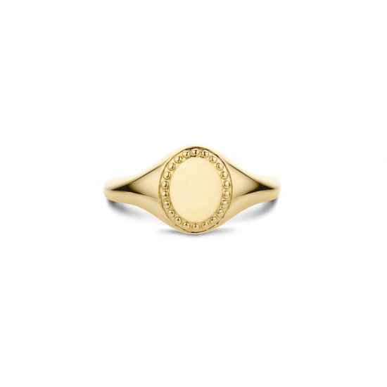 Blush Ring Zegelring Geelgoud 1205YGO MAAT 16,5 - 55773
