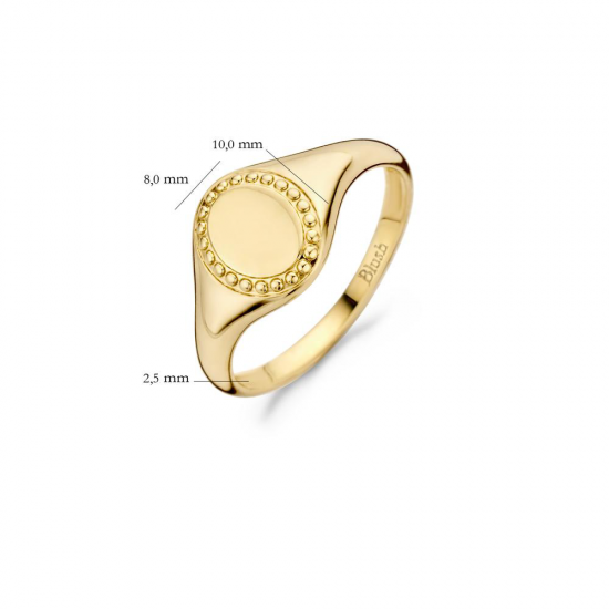 Blush Ring Zegelring Geelgoud 1205YGO MAAT 16,5 - 55773