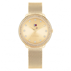 Tommy Hilfiger Dames Horloge Demi 33mm Goudkleurig TH1782699 - 56075