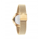 Tommy Hilfiger Dames Horloge Demi 33mm Goudkleurig TH1782699 - 56075