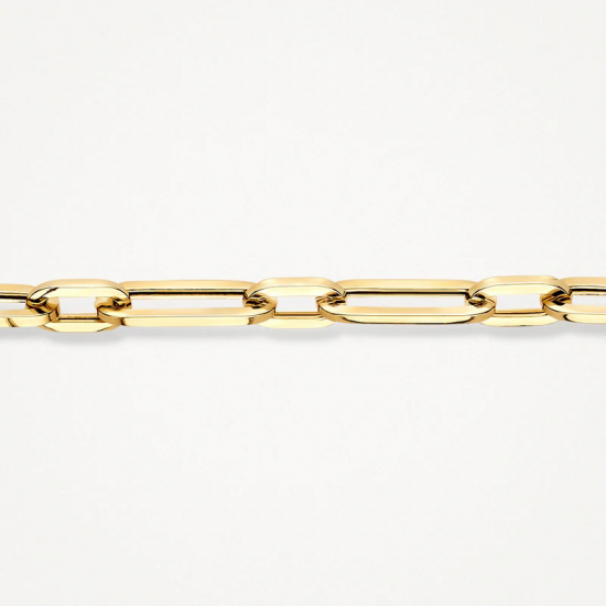 Blush Armband 2251YGO 14k Geelgoud MAAT 18,5 - 56097