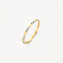 Blush Ring 1260YZI 14k Geelgoud met Zirkonia MAAT 17 - 56103
