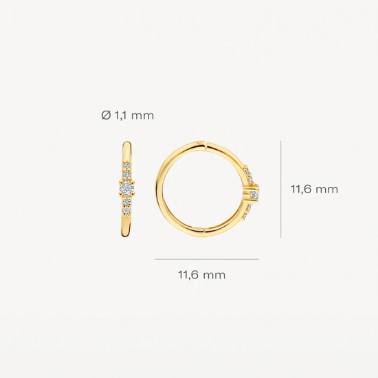 Blush Oorringen 7368YZI 14k Geelgoud met Zirkonia 11,6mm - 56110