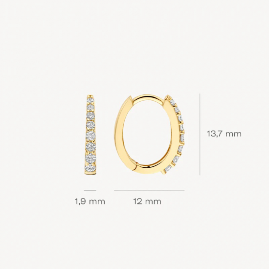 Blush Oorringen 7341YZI 14k Geelgoud met Zirkonia 13,7mm - 56113