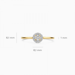 Blush Lab Diamonds Ring LG1023Y 14k Geelgoud MAAT 17 - 56124