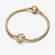Pandora Planeet Venus Open Werk Bedel 762435c01 - 56237