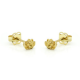 14K gouden Earstuds Swirl 5MM Mattenklopper - 56642