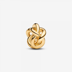 Pandora Infinity Knoop Charm bedel 763755C00 - 56811