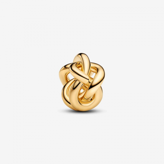 Pandora Infinity Knoop Charm bedel 763755C00 - 56811