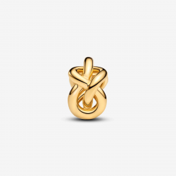 Pandora Infinity Knoop Charm bedel 763755C00 - 56811