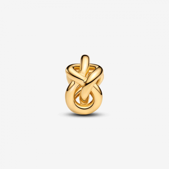 Pandora Infinity Knoop Charm bedel 763755C00 - 56811