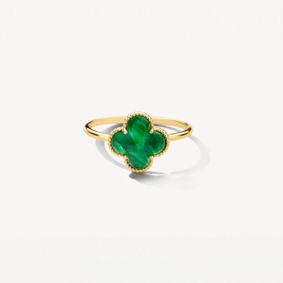 Blush ring 14k Goud met malachiet en bergkristal 1269YMA maat 54 - 57031